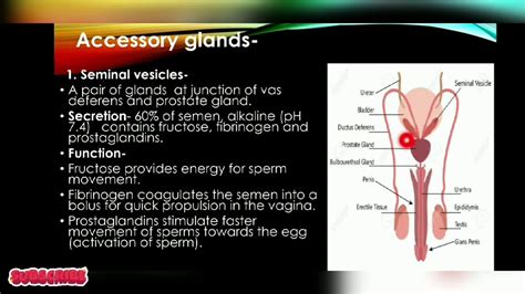 function sex video|Functions Porn Videos .